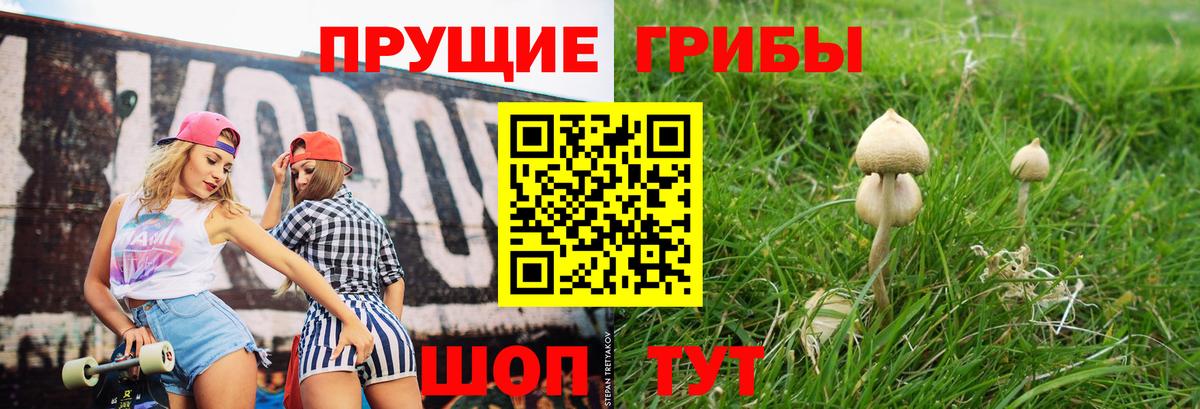 Бирск  Галлюциногенные грибы ЛСД  Вход с VPN 